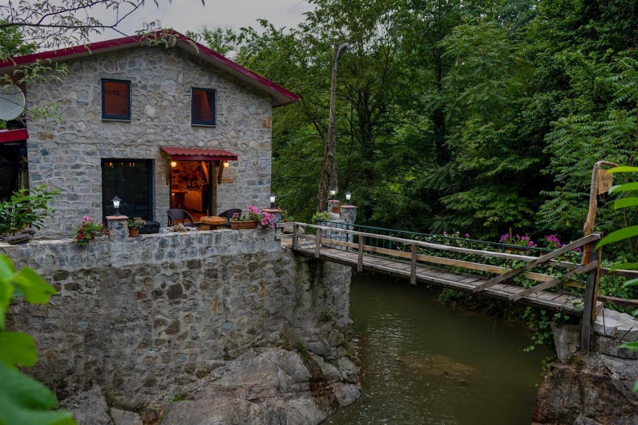 Ankra Deluxe Konak Chalet Ardeşen